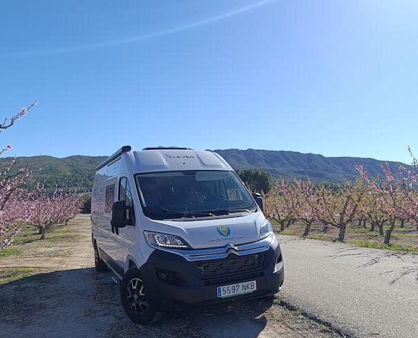 Furgoneta camper familiar Clever Vario Kids en alquiler de Van de Camper Cunit en un campo de frutaless florecidos