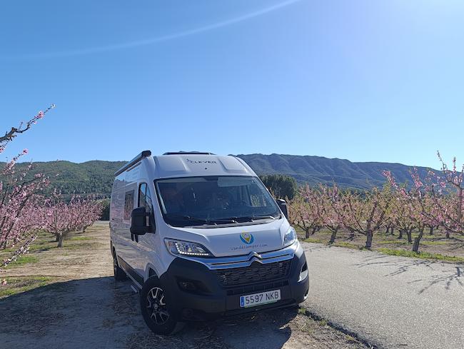 Furgoneta camper familiar Clever Vario Kids en alquiler de Van de Camper Cunit en un campo de frutaless florecidos
